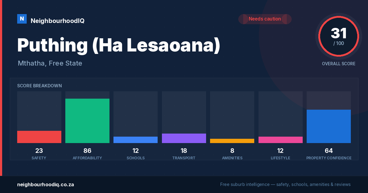 Puthing (Ha Lesaoana) report card