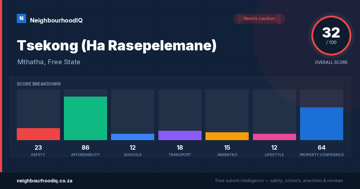 Tsekong (Ha Rasepelemane) report card